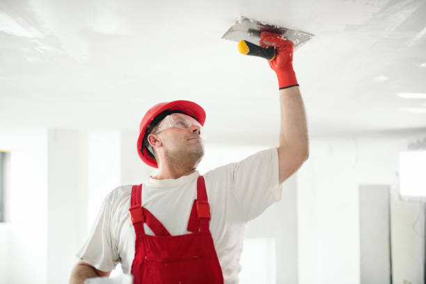 Best Ceiling Drywall Installation  in Kaser, NY